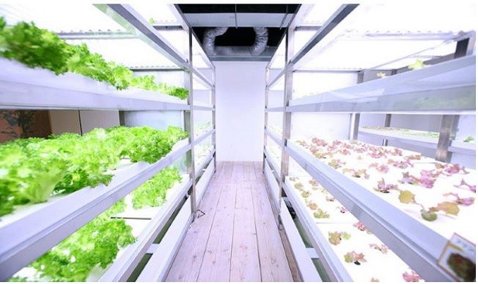 Painting the City Green: Pasona's High-Rise Urban Farm